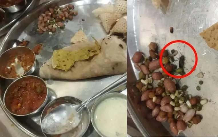 राजहंस की थाली में कॉकरोच: ग्राहक ने फूड इंस्पेक्टर से की शिकायत, विभाग ने जांच के बाद दी क्लीन चिट