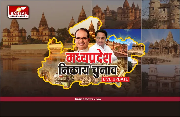 MP Nikay Chunav Result: निकाय चुनाव का परिणाम आज, कौन जीतेगा राधौगढ़ का किला