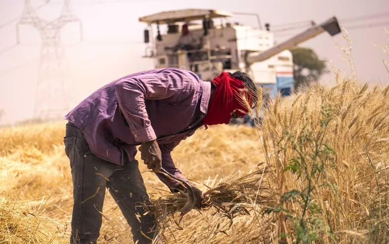 MP News: एमएसपी पर उपज बेचने की अंतिम तिथि आगे बढ़ी, अब इस दिन तक करा सकते हैं पंजीयन