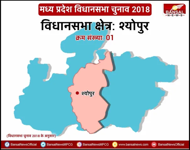 MP Election 2023: श्योपुर विधानसभा में इस बार है कांटे की टक्कर, 2018 के चुनाव में कांग्रेस को मिली थी जीत