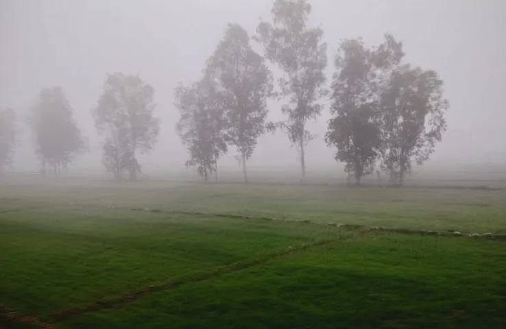 MP Weather Update: लो प्रेशर एरिया और चक्रवाती घेरा, 25 जिलों में मध्यम से भारी बारिश का Yellow-Oragne Alert