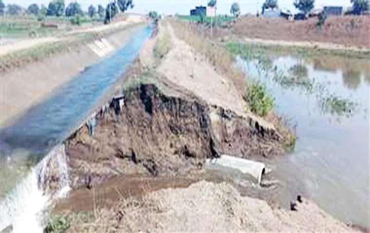 Chhattisgarh News: जल संसाधन विभाग बड़ी लापरवाही, नहर से बर्बाद हो रही फसल, जानिए पूरा मामला
