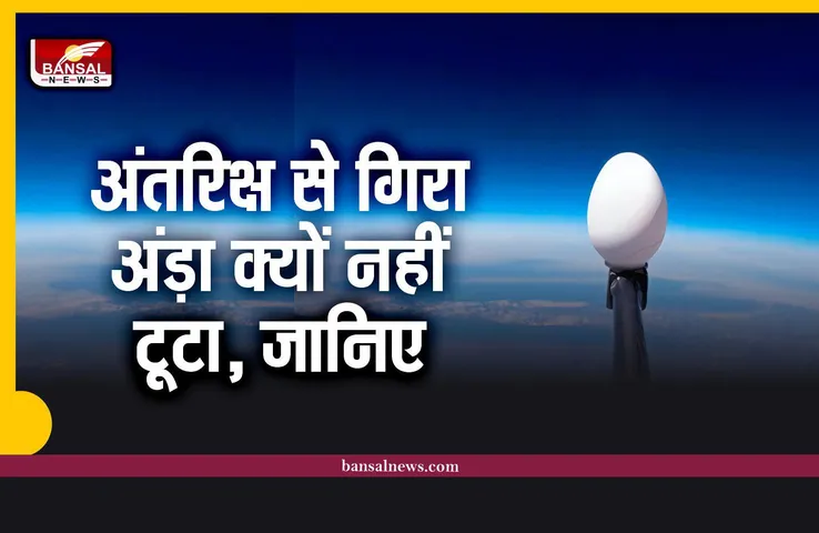 आखिर स्पेस से गिरा अंड़ा टूटा क्यों नहीं?, वैज्ञानिकों ने गिराया था स्पेस से अंडा