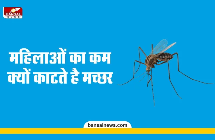 अधिक्तर मच्छर पुरुषों को ही क्यों काटते हैं, महिलाओं को क्यों नहीं