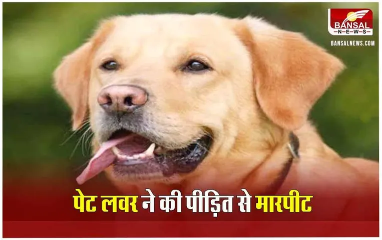 MP News: पेट लवर ने की पीड़ित पिता के साथ मारपीट, कुत्ते को पकड़ने के लिए बुलाई थी निगम की टीम