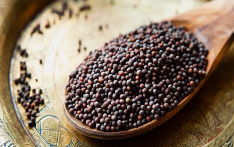 Mustard Seeds Benefits: सरसों के दाने में छिपे होते है कई सारे गुण, इन बीमारियों से मिलता है निजात