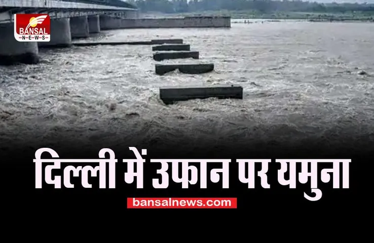 Delhi Yamuna River: 206 मीटर स्तर के ऊपर बहा यमुना नदी का पानी ! अलर्ट किया घोषित