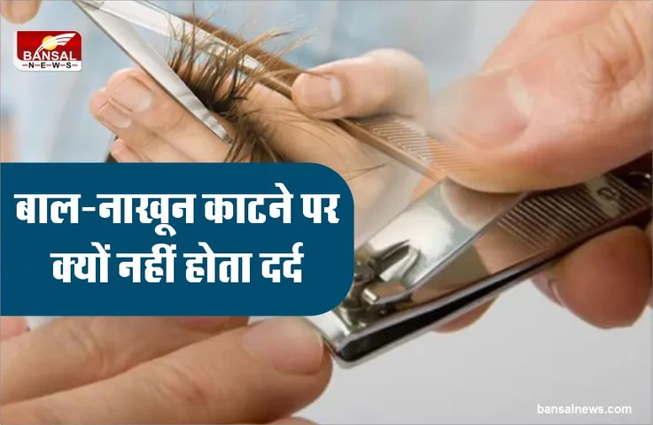 कभी सोचा है? की नाखून और बाल काटने पर दर्द क्यों नहीं होता
