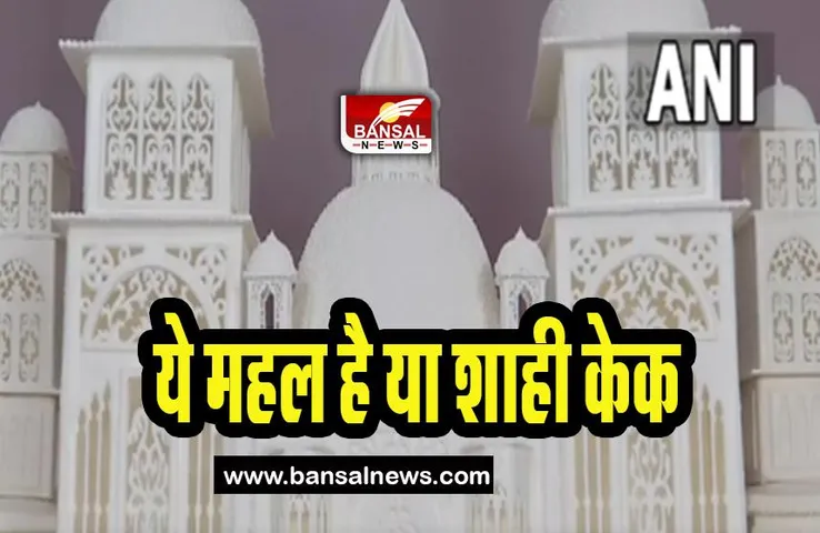 New World Record : आपने देखा 200 किलो का शाही महल केक, इस कलाकार ने किया तैयार