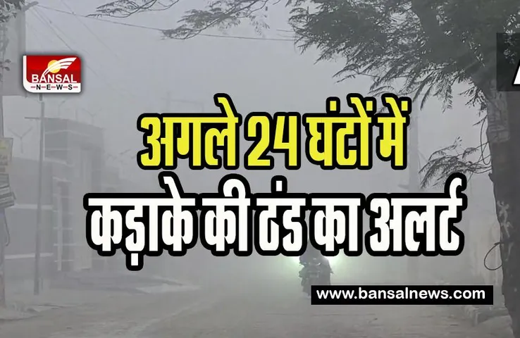Cold Weather Update:अगले 24 घंटों में घने कोहरे और कड़ाके की ठंड का अलर्ट, 23 ट्रेंने चल रही देरी से, जानें राज्यों में मौसम का अलर्ट