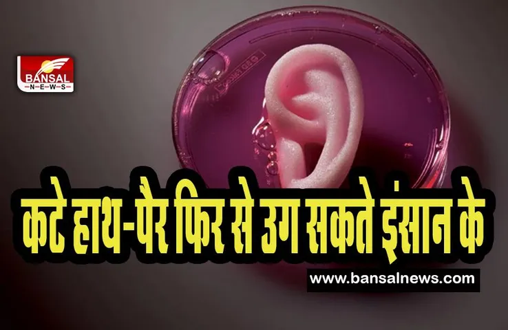 Regeneration Of Organs:  क्या इंसान अपने कटे हाथ-पैरों को फिर से उगा सकता है? सिर्फ एक कदम दूर इंसान