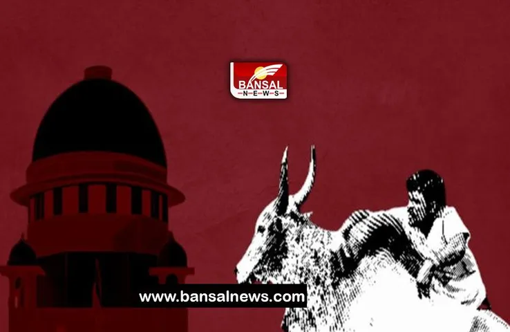 Jallikattu Supreme Court: सुप्रीम कोर्ट ने खेल 'जल्लीकट्टू' की अनुमति कानून को रखा बरकरार, जानिए ये खबर