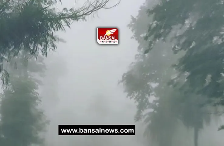 Rajasthan Heavy Rain: 24 घंटे में भीगे प्रदेश के कई हिस्से, गुजरात के बाद राजस्थान में एंट्री