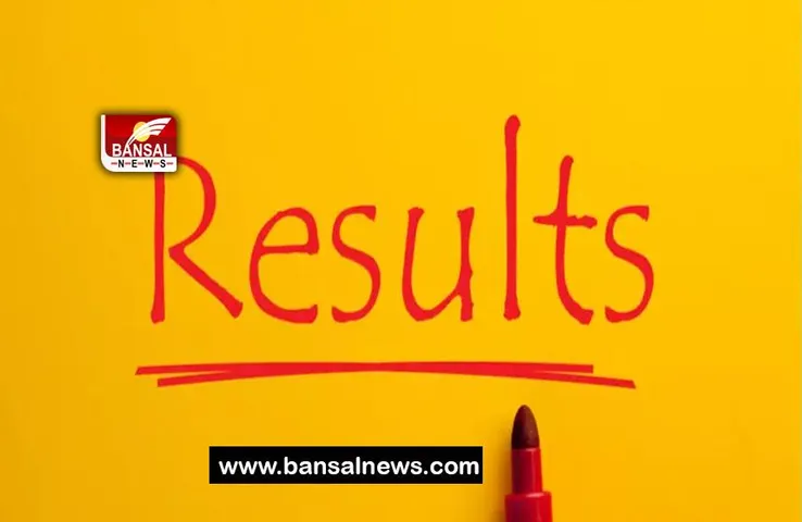 JEE Advanced CG:  जेईई एडवांस 2023 में क्वालीफाई हुए 57 छात्र,  जानिए क्या रहा राज्य का पूरा रिजल्ट