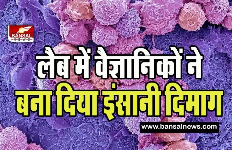 Brainoware Artifical Intelligence : गणित के सवाल ही नहीं सेल्फ ड्राइविंग करना सिखाएगा ये नया इंसानी दिमाग ! AI का बड़ा कमाल