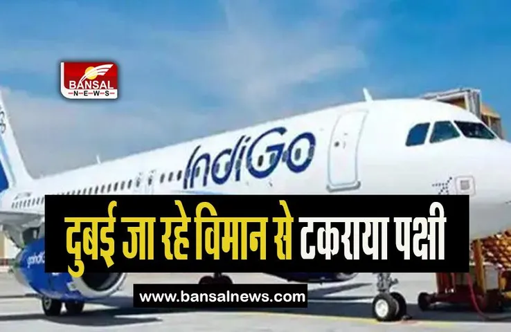 Indigo Plane Big Breaking: दुबई जा रहे विमान से टकराया पक्षी, रद्द करनी पड़ी उड़ान