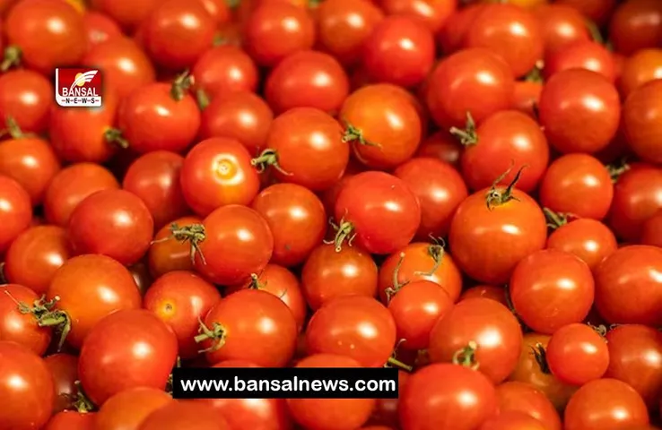Tomato Hike Price: सब्जी बाजारों में महंगे टमाटरों की बहार, तमिलनाडु में गरीबों को मिलेगी राहत