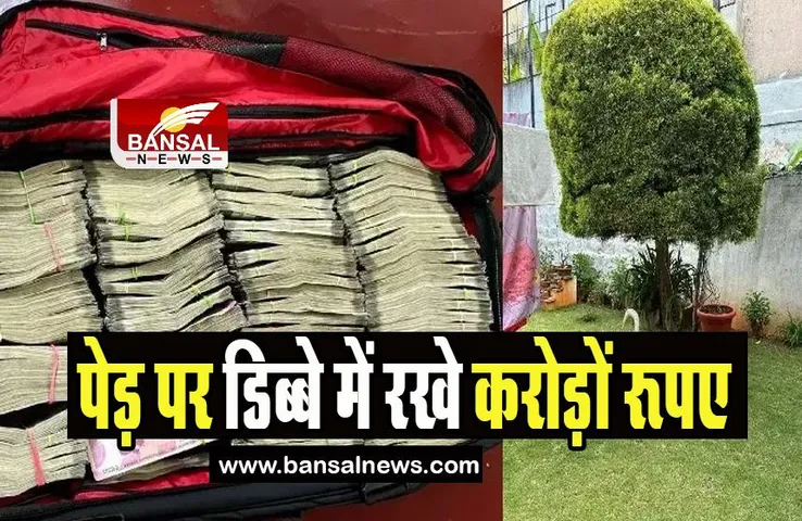 Congress Candidate Ashok Kumar Rai Raid: ये कैसे रखा धन ! पेड़ पर डिब्बे में रखे करोड़ों रूपए, सामने आया वीडियो