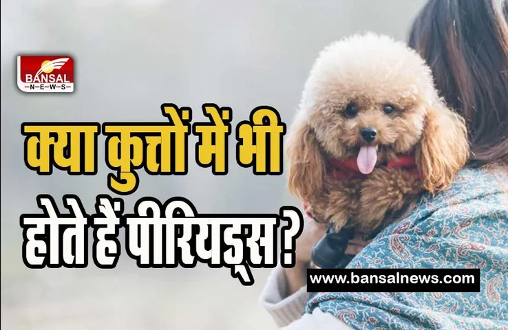 Periods In Female Dogs : कब और किस लिए होते है फीमेल डॉग में पीरियड्स ! जानिए इसके पीछे का कारण