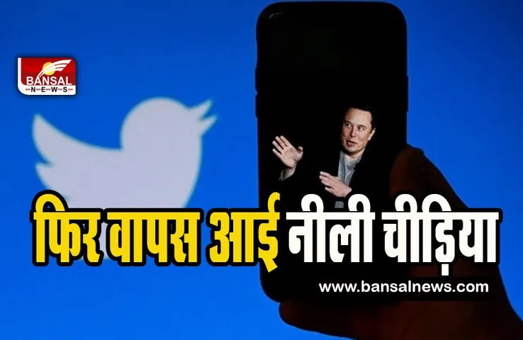 Twitter Logo blue bird : फिर मस्क का चकराया दिमाग ! नीली चिड़िया वाला लोगो ट्वीटर पर लाया वापस