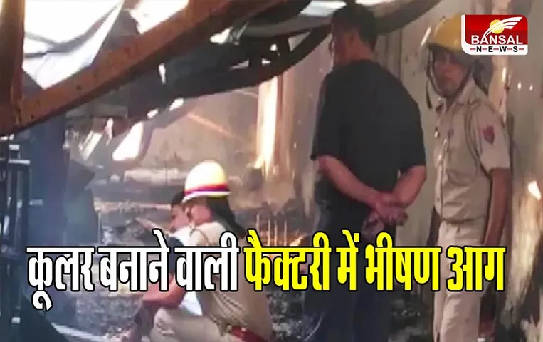 Noida News: नोएडा में कूलर बनाने वाली फैक्टरी में भीषण आग लगी
