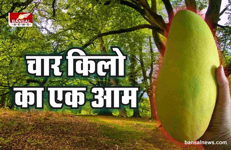 Noorjahan Mango : यहां पाया जाता है 4 किलो का आम, एक आम की कीमत 2 हजार रूपये!