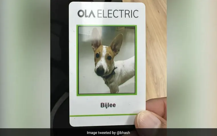 OLA Electric के नए मेंबर सोशल मीडिया पर हो रहे हैं वायरल, लोग तारीफ करते नहीं थक रहे