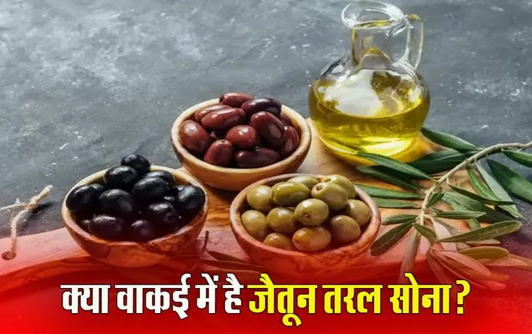 Olive Oil Benefits: क्यों पीते हैं सेलिब्रिटी ऑलिव ऑयल? जानिए जैतून तेल के फायदे और नुकसान