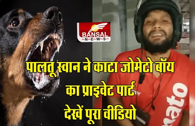 श्वान से सावधान: पालतू श्वान ने कटा Zomato Boy का प्राइवेट पार्ट, देखें वीडियो
