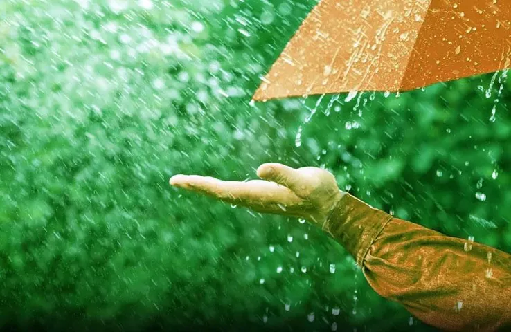 Rain water interesting facts: बारिश के पानी में भीगने से क्या होता है? बारिश में नहाने के फायदे-नुकसान