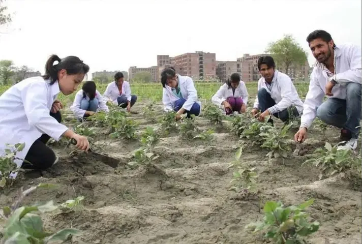 Agriculture Vacancy: एग्रीकल्चर सुपरवाइजर के इतने पदों पर बंपर भर्ती, जानिए कितनी मिलेगी सैलरी