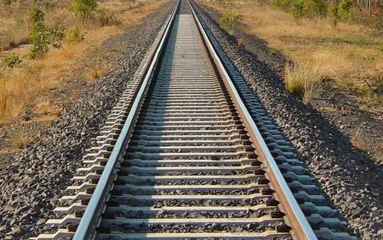 Railway Tracks: आखिर रेलवे पटरियों में क्यों नहीं लगती है जगं, जानें वजह इस रिपोर्ट में