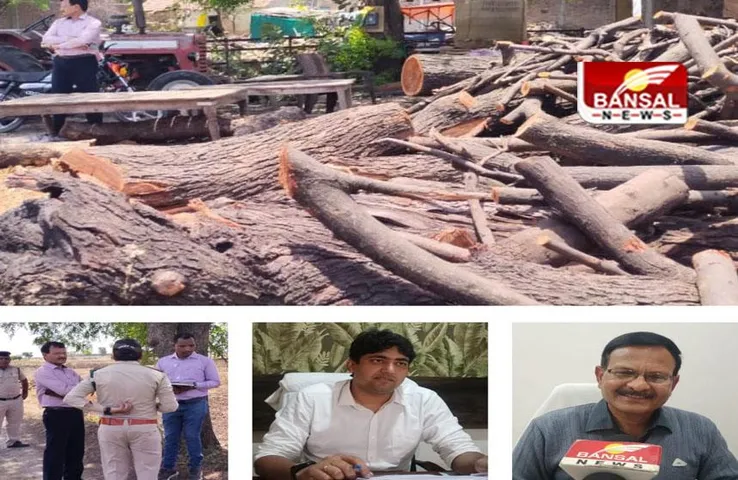 MP SHAJAPUR NEWS: पुलिस और वन विभाग की संयुक्त कार्रवाई में मिली बड़ी सफलता, 10 ट्राली लकड़ी जब्त