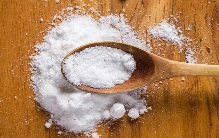 Salt Alternatives: आप भी अपनी डाइट में करना चाहते है नमक की मात्रा, 5 ऐसे अल्टरनेटिव से कर सकते है रिप्लेस