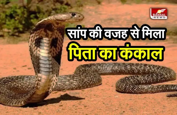 Balaghat skeleton : सांप का पीछा किया तो मिला लापता पिता का कंकाल