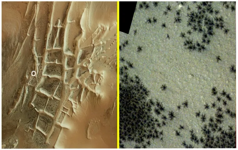 Spiders On Mars: मंगल की जमीन पर दिखीं मकड़ी जैसी आकृतियां, लाल ग्रह की इस फोटो में कौन सा राज है छिपा