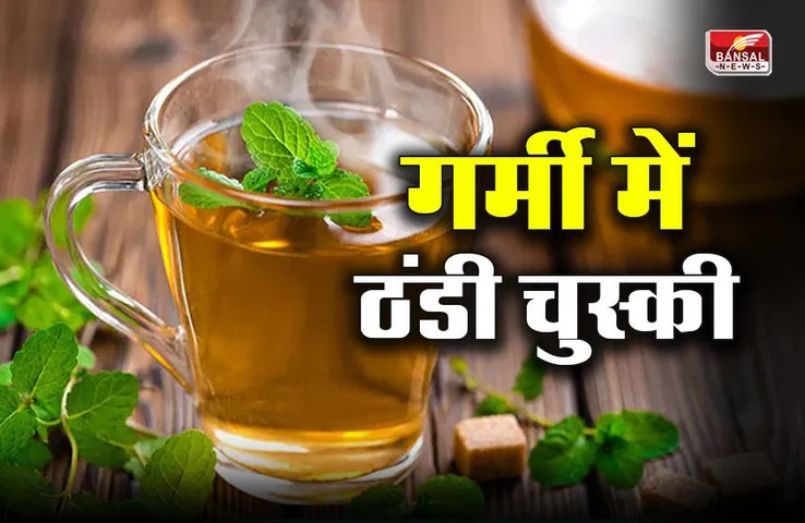Tea in India: चाय का हिंदी नाम क्या है? जानिए कहानी और गर्मी में ठंडक दिलाने वाली चुस्की कौन-सी है?