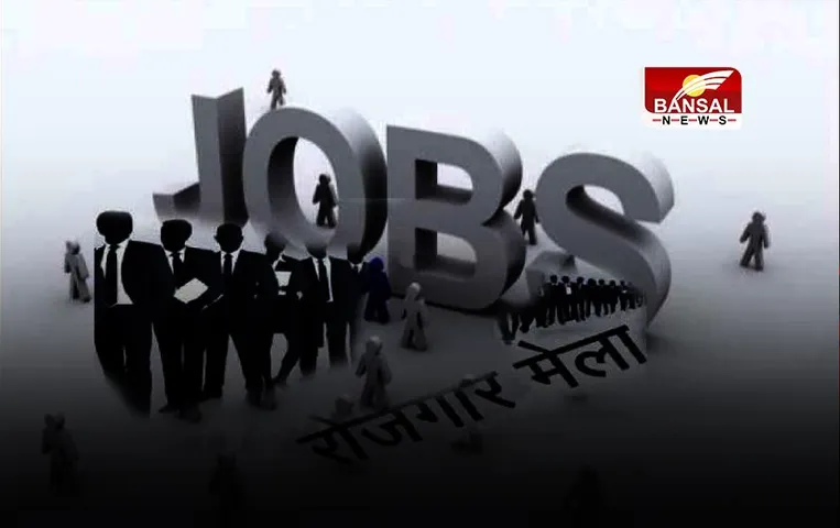 Teacher Job Alerts: प्राथमिक शिक्षक बनने की चाह रखने वाले छात्रों के लिए सुनहरा मौका, डीएसएसएसबी पीआरटी भर्ती 2023  ने जारी की 5700 वैकन्सी