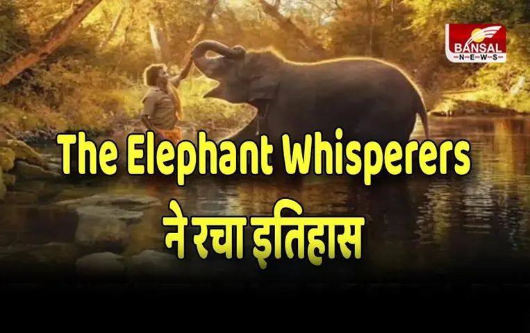 Oscar Awards 2023:  भारत की The Elephant Whisperers ने जीता ऑस्कर, जानिए कहां देख सकेंगे ये फिल्म