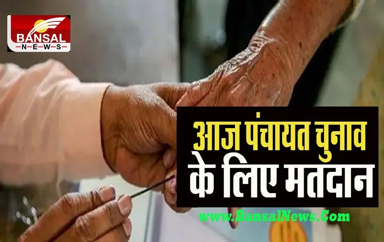 Haryana Panchayat Election 2022: नौ जिलों में आज पंचायत चुनाव के लिए मतदान, जानें कब आएगे नतीजे