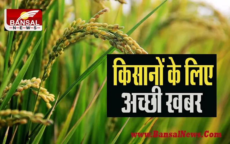 MSP Price Hike: 110 रुपये बढ़कर 2,125 रुपये प्रति क्विंटल हुआ गेहुं का समर्थन मूल्य, जानें सरकार का फैसला