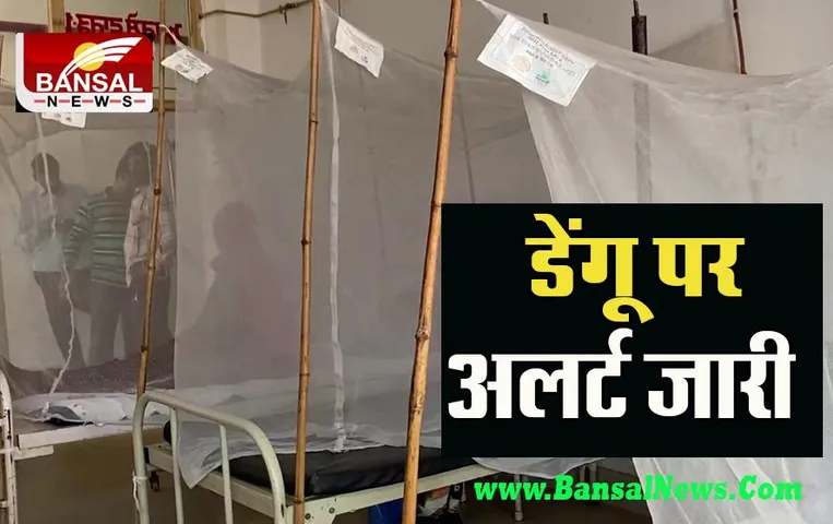 Punjab Dengue News: डेंगू के खतरनाक मामलों ने डराया ! सरकारी अस्पताल अलर्ट पर