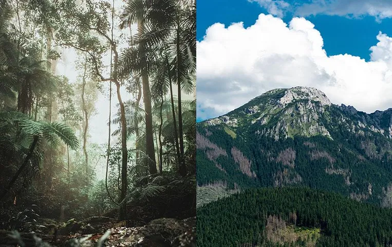 Vichar Manthan: दिखावे की दुनिया में मानवता के अस्तित्व पर मंडराता संकट