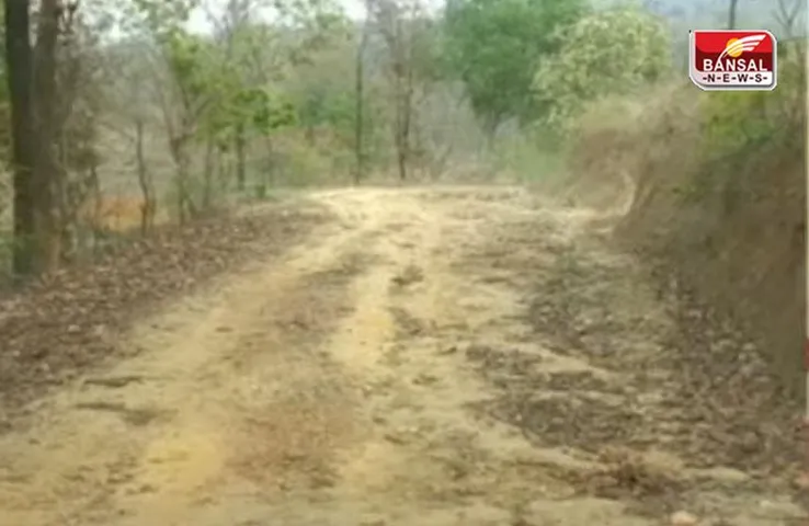 Village Story: नक्सल प्रभावित गांव ने बनाया अपना रास्ता, यह है एमपी के बालाघाट में कोरिकोना की कहानी