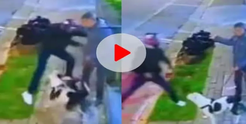 Viral Dog Video: डॉग ने फिर दिखाई वफ़ादारी, मालिक की बचाई जान, वीडियो तेजी से वायरल