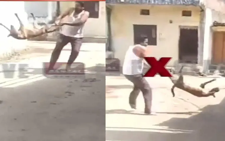 Viral Vieo: रील बनाने के लिए युवक ने मानवता को किया शर्मसार, जानें क्या है पूरा मामला