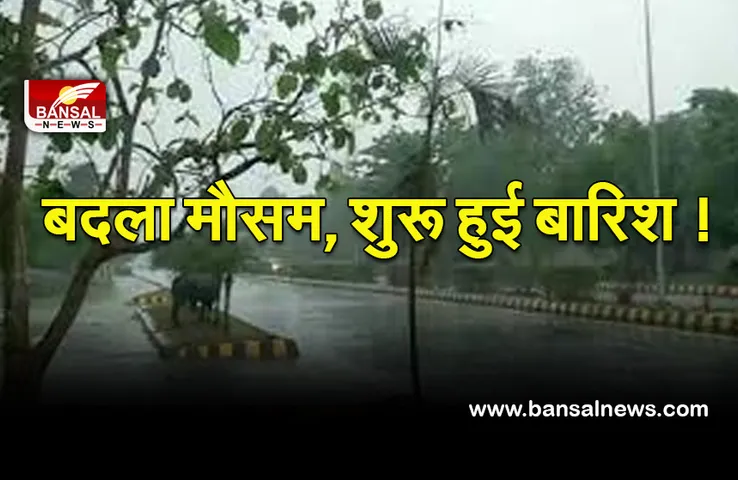 Mp Weather Update : प्रदेश में बरसे बदरा, मौसम विभाग ने दी 20 फरवरी को भी गजर-चमक के साथ बारिश की चेतावनी