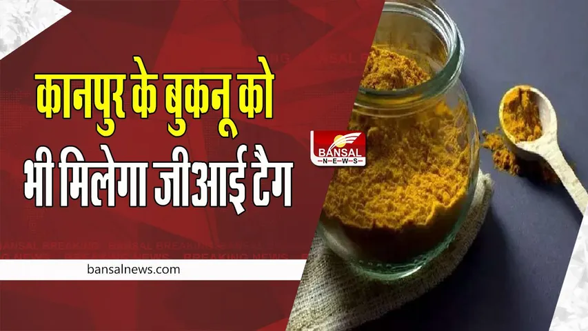 GI Tag: अलीगढ़ की चमचम मिठाई हो या फिर मथुरा का पेड़ा ! अब सब पर लगने वाला है ‘जीआई टैग’, जानें पूरी खबर