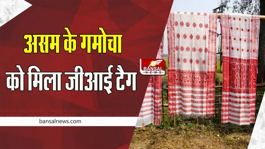 Gamocha GI Tag: पांच साल की मेहनत लाई रंग ! असम के ‘गमोचा’ को मिला जीआई टैग, जाने खबर