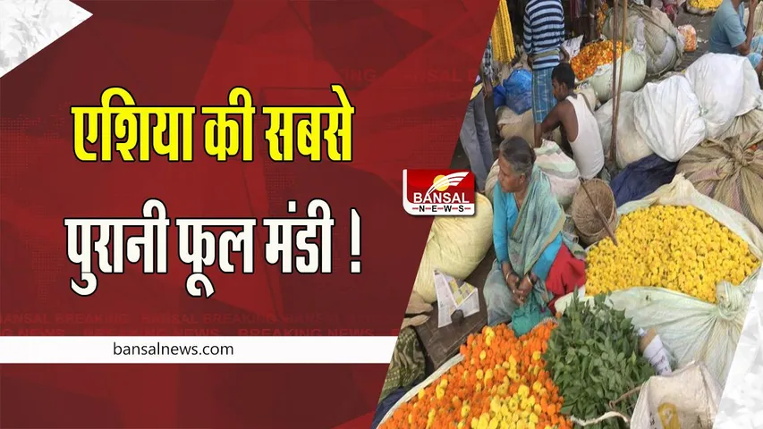 Malik Flower Market: क्या आपको पता है एशिया की सबसे पुरानी फूल मंडी ! जहां गेंदे की बिकती  50 किस्में
